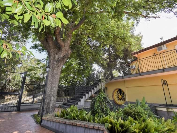 Villa Anna มาสคาลิ ภายนอก รูปภาพ